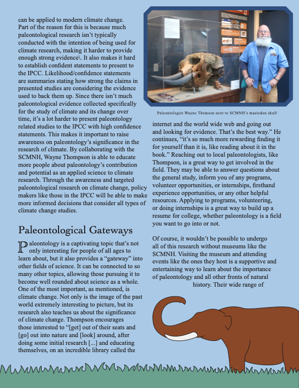 Article by Vee Lee